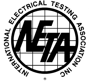 NETA LOGO